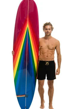 Surfboards | Surfboards | Aviator Nation HYBRID BOARD - RAINBOW