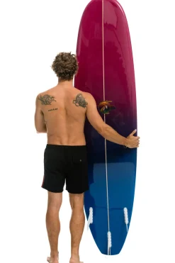 Surfboards | Surfboards | Aviator Nation HYBRID BOARD - RAINBOW