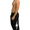 Sweatpants | Aviator Nation BOLT SWEATPANTS - CHARCOAL