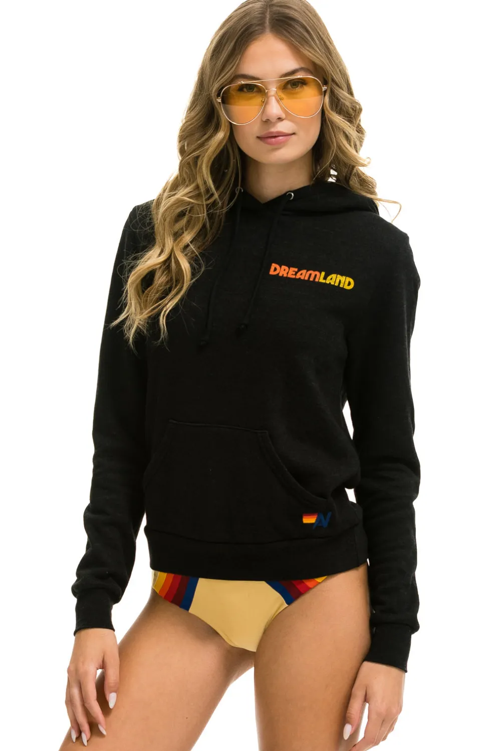 Hoodies | Hoodies | Aviator Nation DREAMLAND LOGO PULLOVER HOODIE - BLACK