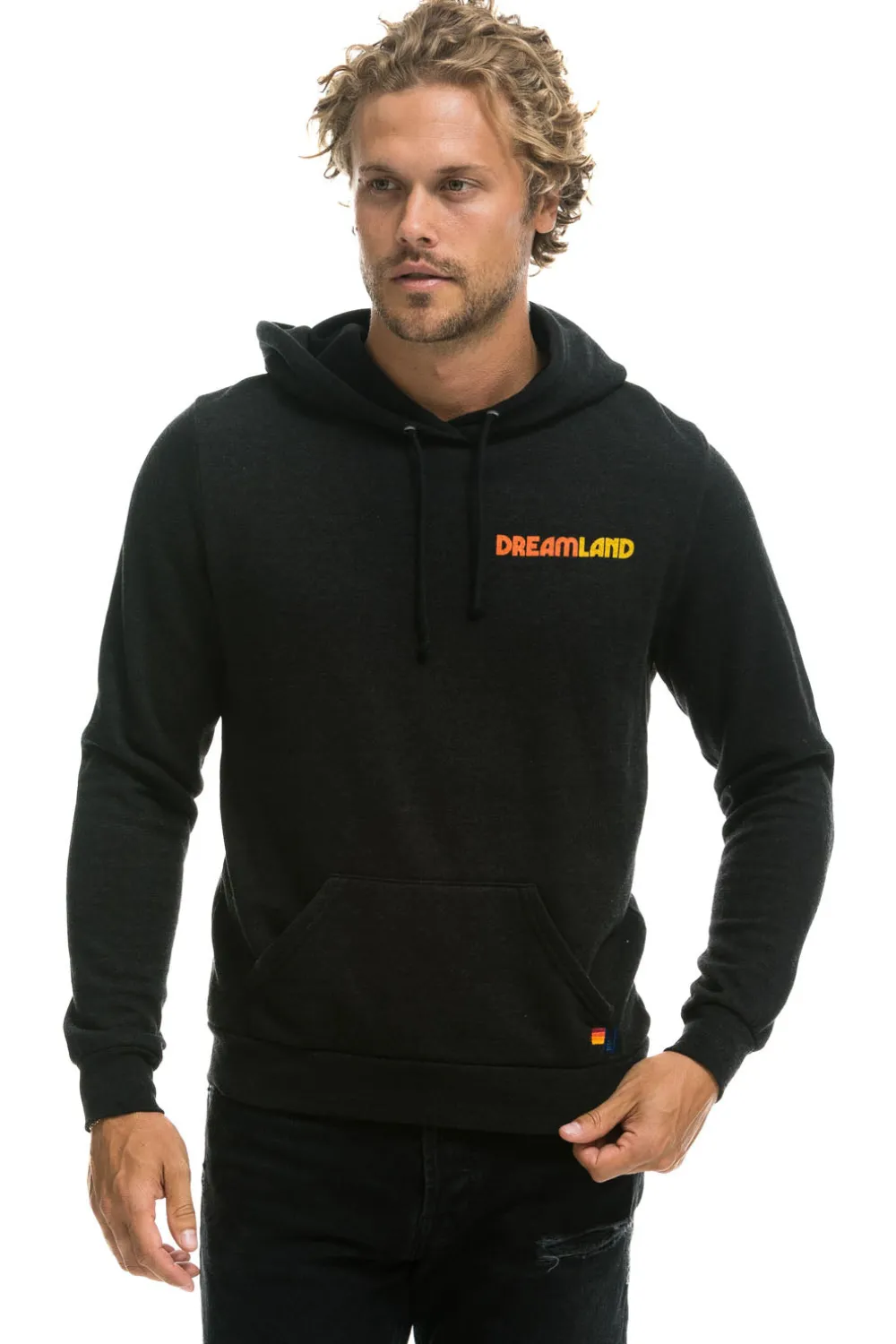 Hoodies | Hoodies | Aviator Nation DREAMLAND LOGO PULLOVER HOODIE - BLACK