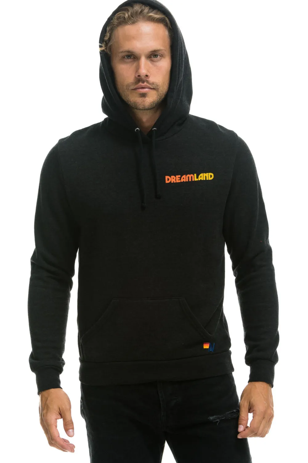 Hoodies | Hoodies | Aviator Nation DREAMLAND LOGO PULLOVER HOODIE - BLACK