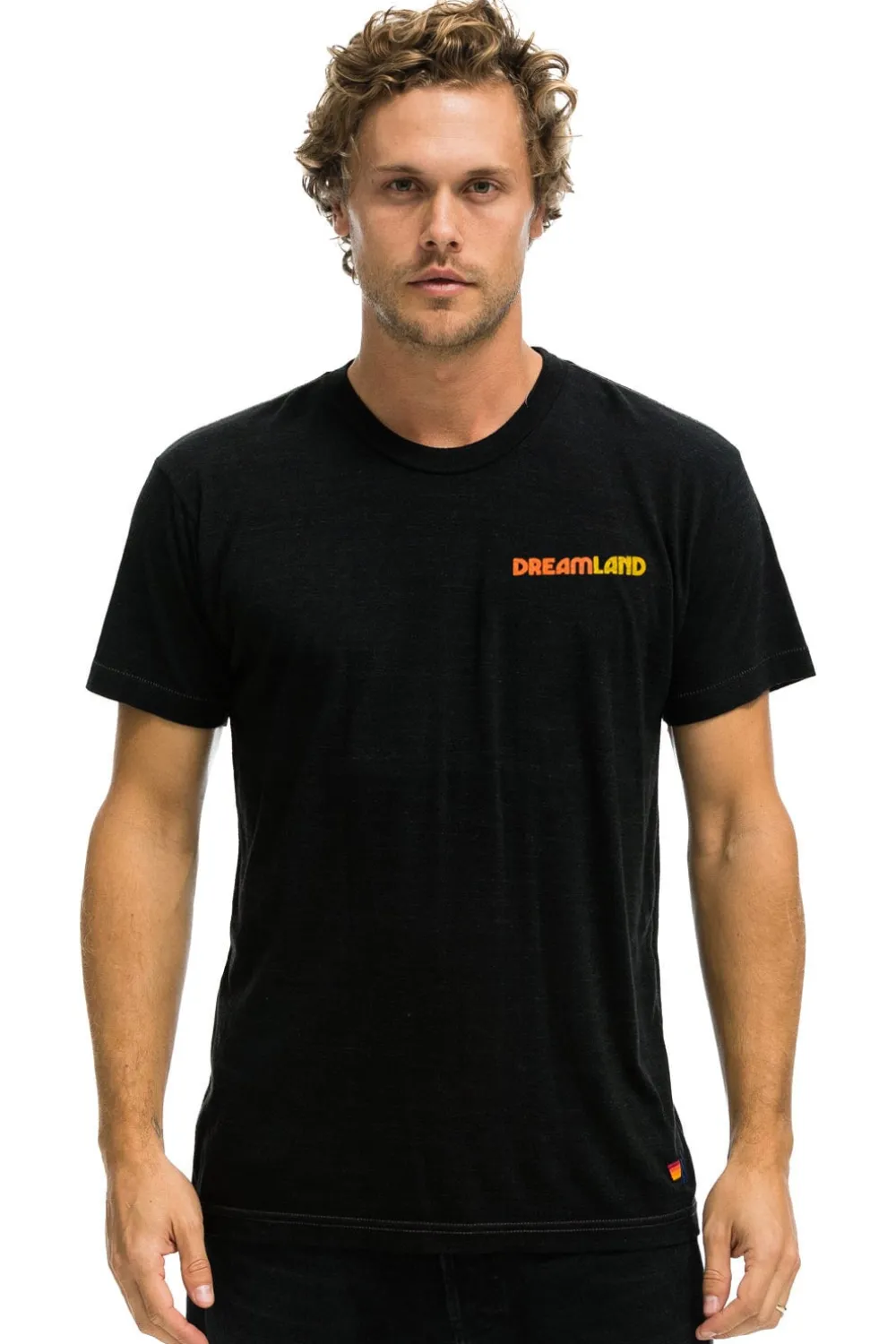 Tees | Tees | Aviator Nation DREAMLAND LOGO UNISEX CREW TEE - BLACK