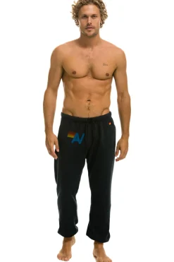 Sweatpants | Aviator Nation LOGO SWEATPANTS - CHARCOAL
